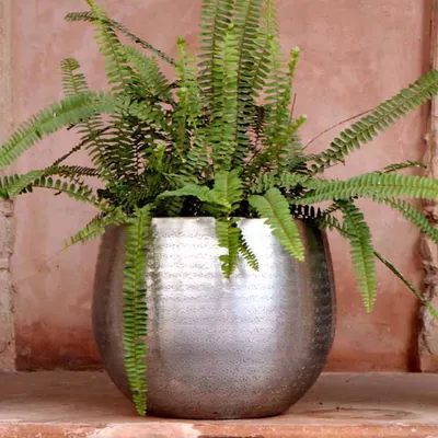 Produktbild von Orientalischer Blumentopf Almeria, Größe:L
