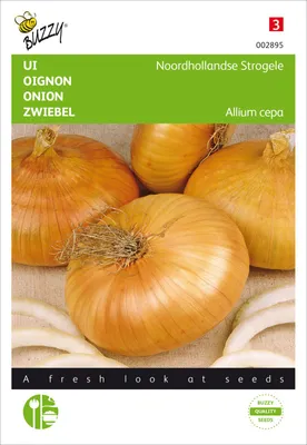 Artikelbild 2 von 'Zwiebel Stuttgarter' aus der Kategorie Zwiebelsamen