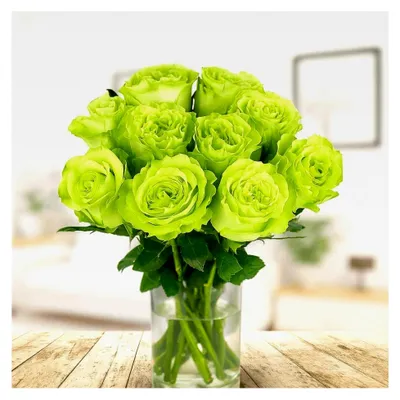 Produktbild von 10 grüne Rosen - Langstielig - Vasenfertig