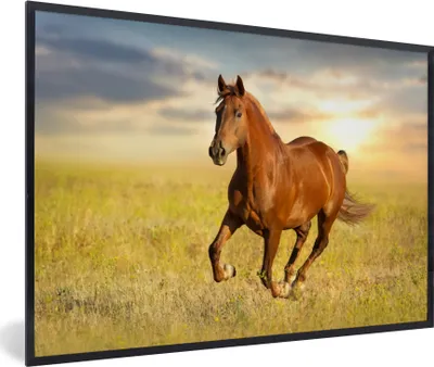 Produktbild von MuchoWow® MuchoWow® Gerahmtes Poster Pferd - Sonne - Gras - Tier 90x60 cm - Poster mit zchwarzem Bilderrahmen - Fotorahmen - Foto-Plakat