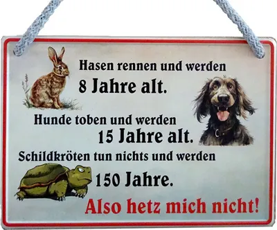 Produktbild von Lustiges Hängeschild Hetz mich nicht - Blechschild