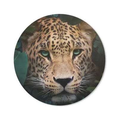 Produktbild von MuchoWow® Mauspad Mousepad Dschungel - Panther - Wilde Tiere 40x40 cm - Mousepads - Maus Mat - Pad - Mausunterlage - Schreibtisch Accessoires
