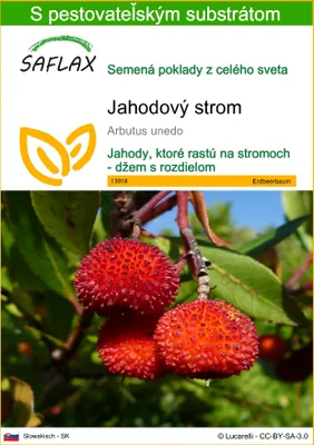 Obrázok produktu pre SAFLAX - jahodový strom - Arbutus unedo - 50 Semená - S pestovateľským substrátom bez klíčkov