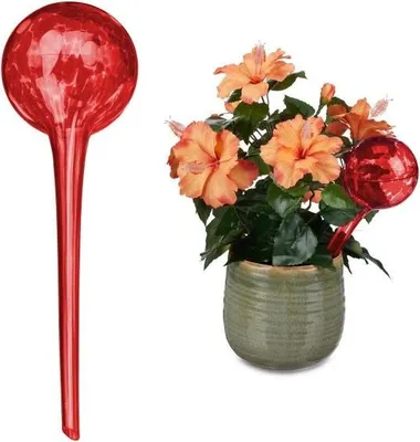 Produktbild von Wasserball-Set mit 2 Gläsern