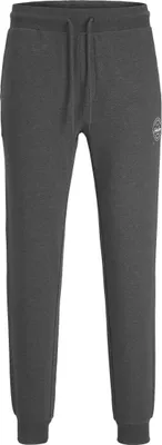 Obrázek produktu pro Herren Jogginghose Bequeme Trainingshose Potní kalhoty Sport Hose JPSTGORDON |