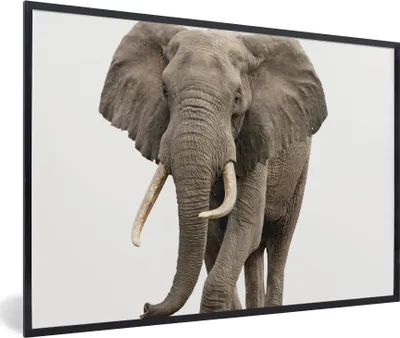 Produktbild von MuchoWow® Gerahmtes Poster Elefant - Kinder - Tiere - Mädchen 90x60 cm - Poster mit Schwarzem Bilderrahmen Wandposter Rahmen Foto Bilder - Fotorahmen - Foto-Plakat