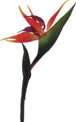 Produktbild von künstliche Strelizie H. 83cm rot grün natur GASPER Kunstblumen