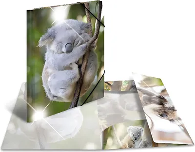 Produktbild von HERMA Eckspannermappe "Koala" PP Glossy DIN A3