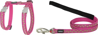 Image de Harnais pour Perro Red Dingo On Hot 21-35 cm Pink