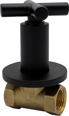A black and brass valve is shown against a white background.
