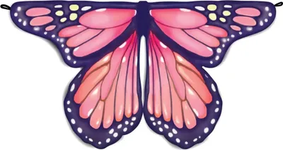 Produktbild von Mystical Monarch Schmetterlingsflügel, für 4-6 Jahre