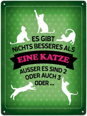 Produktbild von Es gibt nichts besseres als eine Katze Metallschild XXL