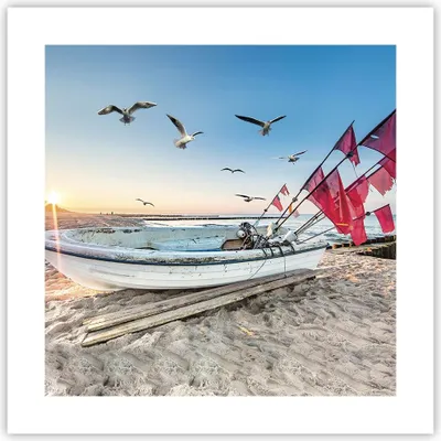 Produktbild von Poster - Poster ohne Rahmen - £ódŸ Küste Möwen - 40x40 cm - Wand Bild - Wanddeko - Wandbilder - Kunstposter - Wandposter - Bilder - Kunstdruck - Wanddekoration - Wandbild - P2XAC40x40-4779