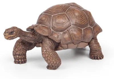 Produktbild von Papo Galápagos-Riesenschildkröte, 3 Jahr(e), Wild animal kingdom, Braun, PVC
