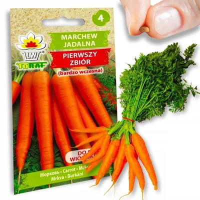 Produktbild von Karottensamen Erste Ernte B. Frühe Saftige Möhren Für Saft Karotte Samen Gemüsesaat sehr früh