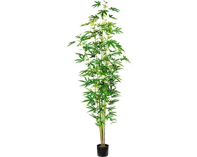 Produktbild von Kunstpflanze Zierhanfpflanze Höhe: 210 cm grün
