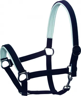 Produktbild von Nylon-Halfter gepolstert für Warmblut Gr.3 bordeaux