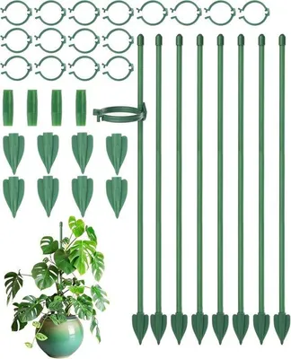 Produktbild von Famanu Pflanzenstützen Set 8 Stück 30 cm mit Clips - Grün