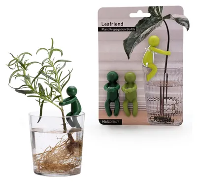 Immagine prodotto di Leafriend - Set di 3 supporti per talee e piante giovani