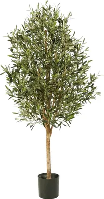 Produktbild von aplanta Künstlicher Olivenbaum – Callistus | 140 cm, Echtholzstamm, UV-beständig, für drinnen, Kunstbaum, wie echt, Allergiker geeignet, pflanzliche Dekoration Praxis, Office & Wohnzimmer