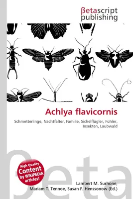 Produktbild von Achlya flavicornis