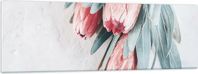 Produktbild von Bilder auf glas - Einteilig - Blume Eukalyptus Australier - 160x50cm - Glasbilder - Wandbilder - Bilder - Wanddekoration aus Glas - Glas Bilder - Wandbild auf Glas - GAB160x50-5016