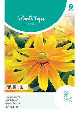 Image de Échinacée Prairie Sun | Graines d'échinacée de Hortitops