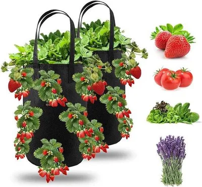 Produktbild von Famanu Pflanztasche mit Griffen - 2 Stück, schwarz