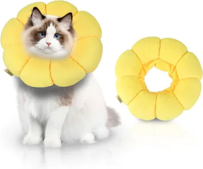 Image de Collier anti-fuites, souple, taille M, pour chats et petits chiens