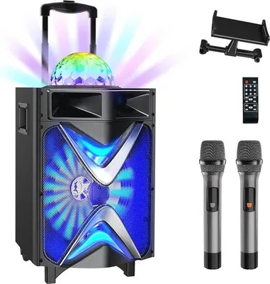 Image de Système de karaoké portable avec Bluetooth et microphones sans fil pour les fêtes et les événements en plein air