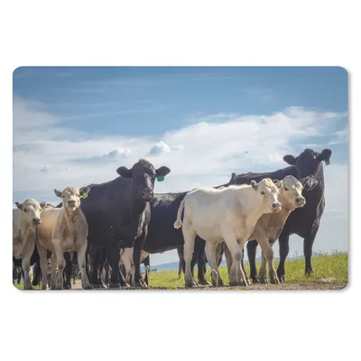 Produktbild von MuchoWow® Mauspad Mousepad Tiere - Kuh - Luft 27x18 cm - Mousepads - Maus Mat - Pad - Mausunterlage - Büroartikel - Desk Matten
