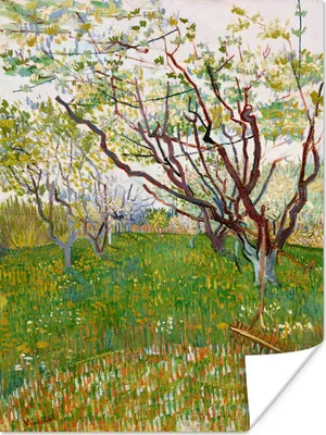 Produktbild von MuchoWow® Poster Blühende Obstgärten - Vincent van Gogh 60x80 cm - Schlafzimmer Dekoration