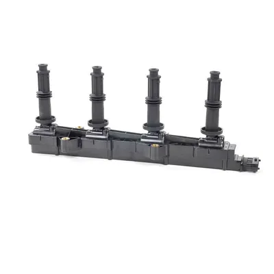 Image de DELPHI bobine d'allumage GN10363-12B1