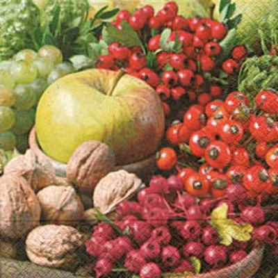 Produktbild von 20 Lunch Servietten 33X33Cm From Nature