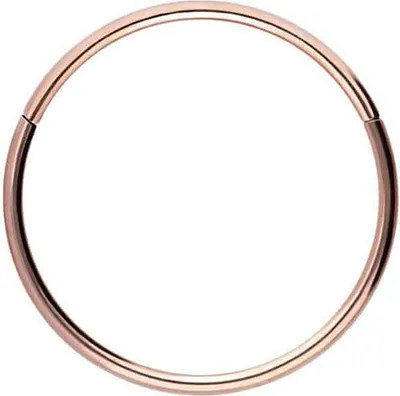 Produktbild von Ohrpiercing, Nasenpiercing, Septum Piercing Titan Segmentring Clicker RoséGold Innendurchmesser: 10mm + Stabstärke: 0,8mm