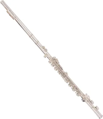 Immagine prodotto di Flauto traverso - Flauto per esercitazione - Strumento musicale per imparare a suonare - 16/17 fori aperti/chiusi - Lunghezza: 700 mm
