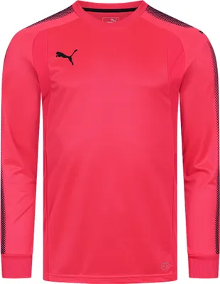 Produktbild von XL|PUMA dryCELL Herren Torwarttrikot 703067-47