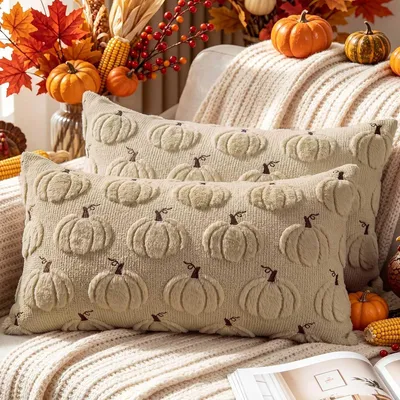 Immagine prodotto di Coperte per cuscini, 30 x 50 cm, 2 pezzi, in peluche, color beige, per divano