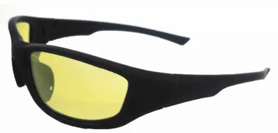 Produktbild von Eagle Folcoyey Schutzbrille Schwarz  Schwarz One Size