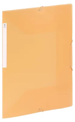Imagen del producto de Viquel - Archivador de plástico de gran capacidad con 3 compartimentos - Carpeta de archivos A4 con etiqueta para identificación