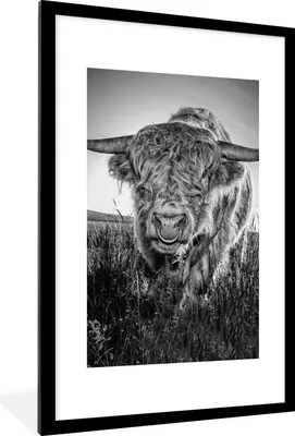 Produktbild von MuchoWow® Gerahmtes Poster Schottischer Highlander - Schwarz und Weiß 60x90 cm - Poster mit Schwarzem Bilderrahmen Wandposter Rahmen Foto Bilder - Dekoration - Wandposter Wohnzimmer - Hochwertig