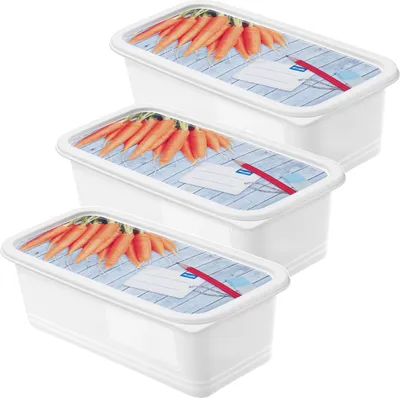 Produktbild von Rotho Set Gefrierdosen 3 tlg. 7553602120