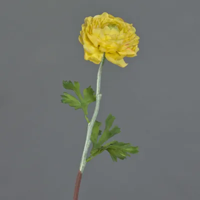 Produktbild von artplants.de Ranunkel künstlich ELORIO, gelb, 50cm - Ranunkel Kunstblume/Seidenpflanze