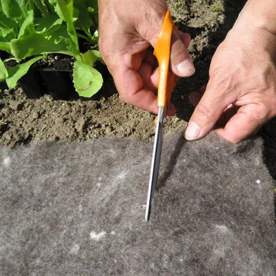Produktbild von Windhager Unkrautvlies aus Schafwolle 2 x 1 m, 150g/m² – wasser- und luftdurchlässig