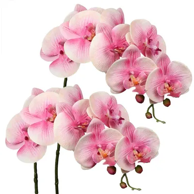 Immagine prodotto di Fiori artificiali, ramo di orchidea Phalaenopsis, 9 fiori, colore rosa, confezione da 2 pezzi, effetto realistico