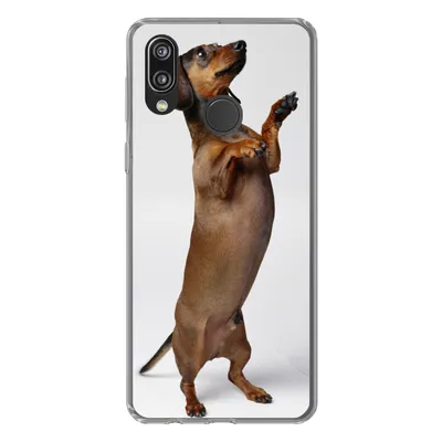 Produktbild von MuchoWow® Handyhülle Schutzhülle Hülle für Huawei P20 Lite (2020) Ein Dackel, der auf seinen beiden Hinterbeinen steht Silikon Softcase Handy Hülle - Kartenhalter