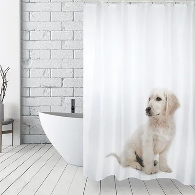 Produktbild von MSV Anti-Schimmel Duschvorhang - Anti-Bakteriell, waschbar, wasserdicht, mit 12 Duschvorhangringen - Polyester, „Scott“ 180x200cm