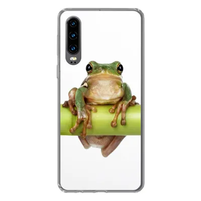 Produktbild von MuchoWow® Handyhülle Schutzhülle Hülle für Huawei P30 Frosch - Bambus - Weiß Silikon Softcase Handy Hülle - Kartenbesitzer