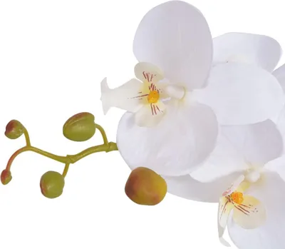 Obrázek produktu pro vidaXL Umělá orchidej s květináčem 65 cm bílá