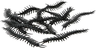 Productafbeelding van Duizendpoten Halloween decoratie, 12 stuks, zwart, 13,5 cm - universele maat